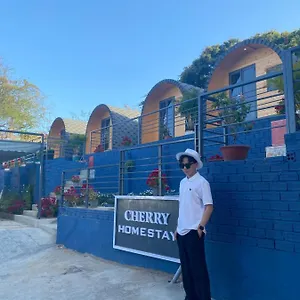 Cherry Homestay Bungalow Vung Tau